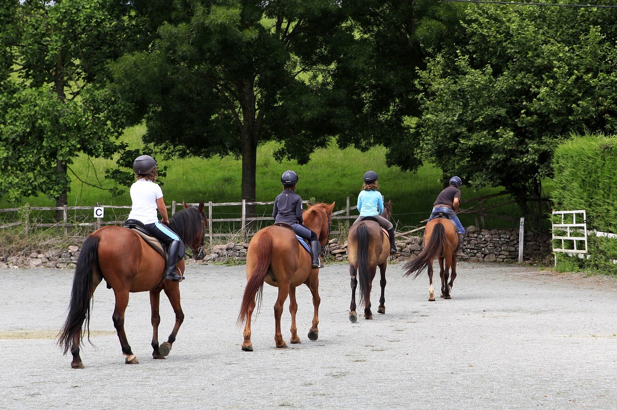La h&iacute;pica galopa: las licencias federativas se disparan y crece el n&uacute;mero de centros
